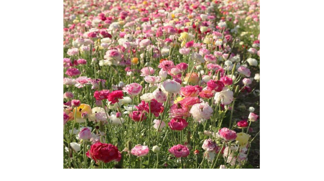 Find calm amongst the change