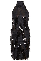 The Sarvin Sparkly Black Mini Dress is a sleeveless halter-neck sequin dress with large scattered sequins and a fitted silhouette—perfect for making a statement at any party.