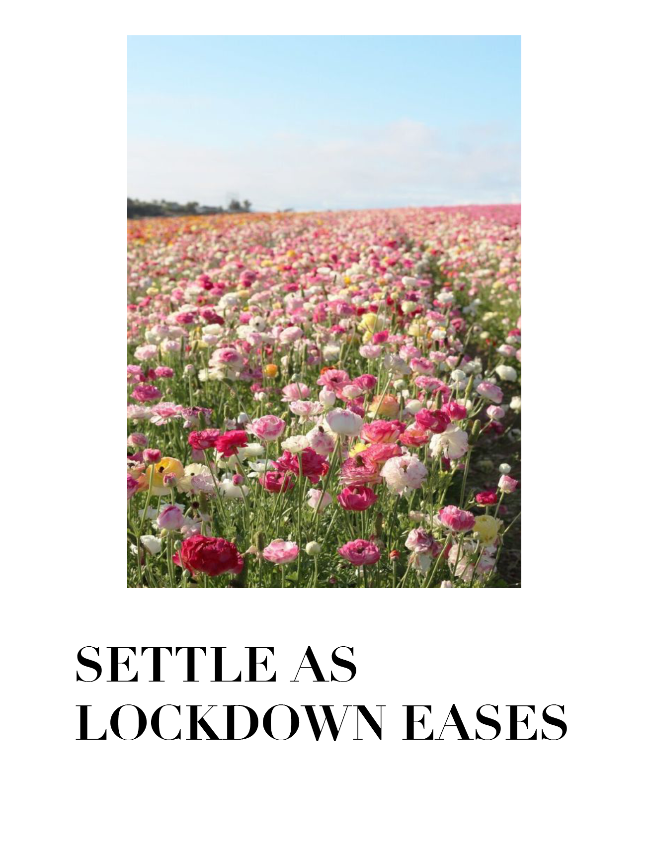 Find calm amongst the change